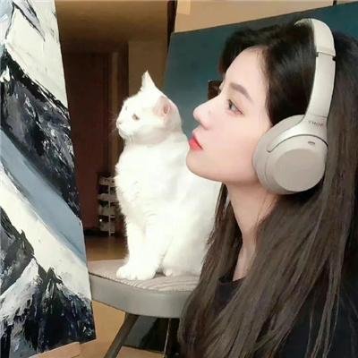 真假王爷